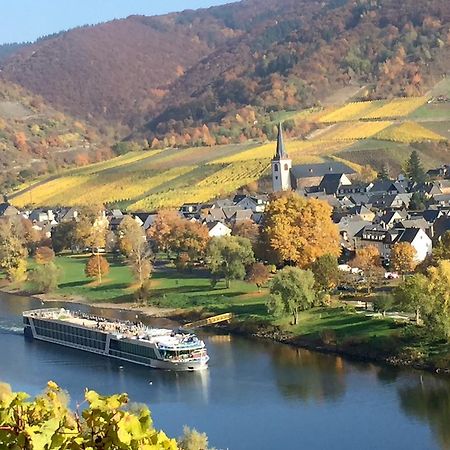 Apartment Mosel-Götterlay Bruttig-Fankel Exteriör bild