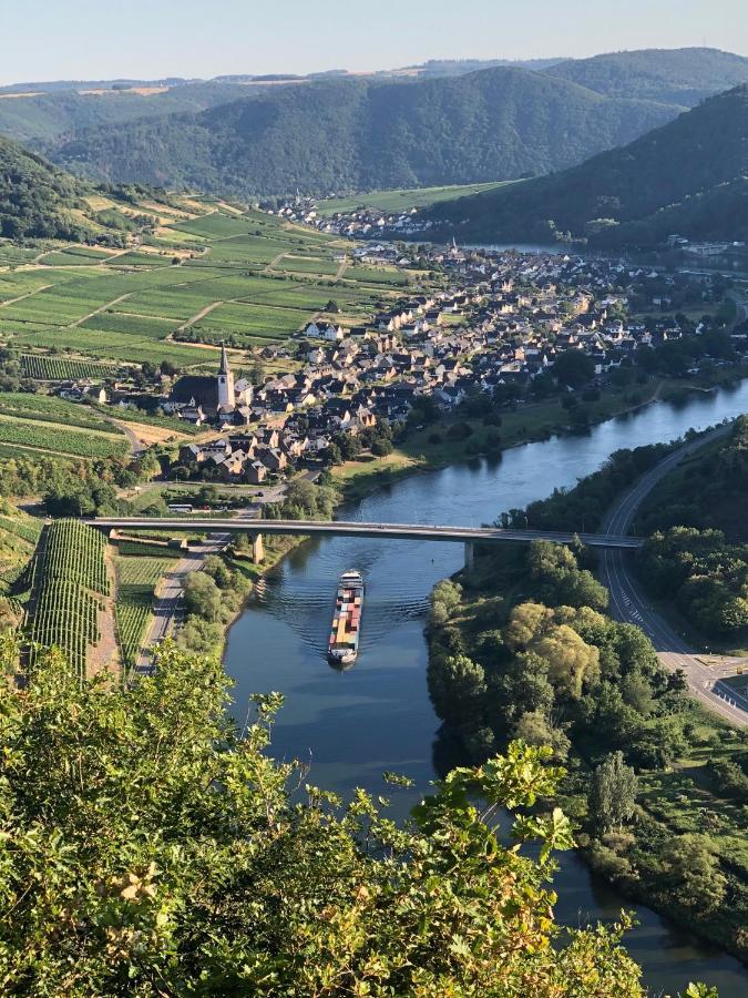 Apartment Mosel-Götterlay Bruttig-Fankel Exteriör bild