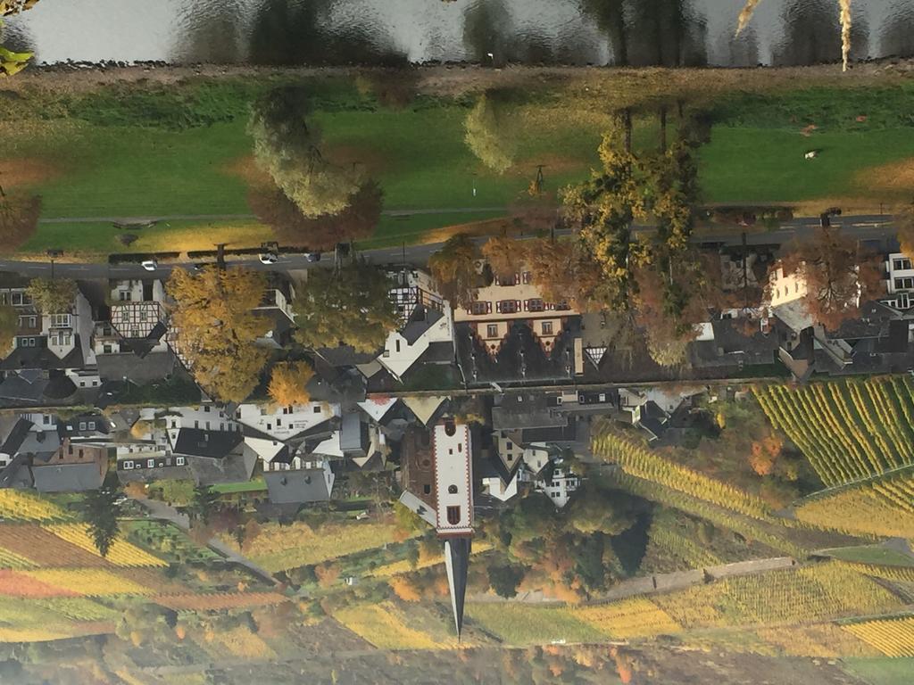 Apartment Mosel-Götterlay Bruttig-Fankel Exteriör bild