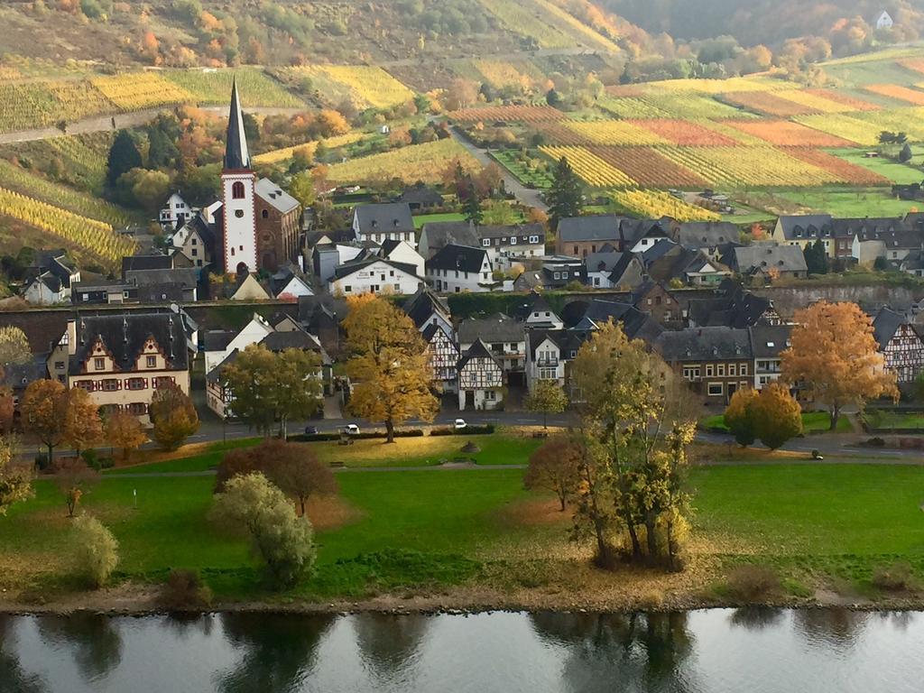 Apartment Mosel-Götterlay Bruttig-Fankel Exteriör bild