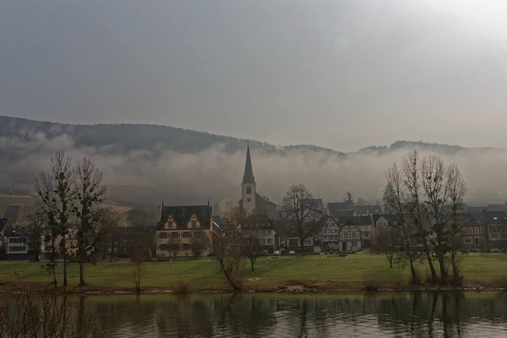 Apartment Mosel-Götterlay Bruttig-Fankel Exteriör bild